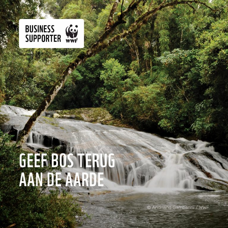 SNLLR Business Supporter WWF