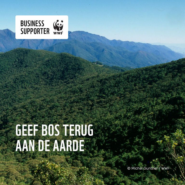 SNLLR Business Supporter WWF